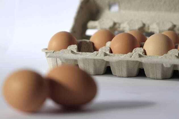 egg, eggs (CTKxPhoto JakubxSyrucek) CTKPhoto569201203120320501