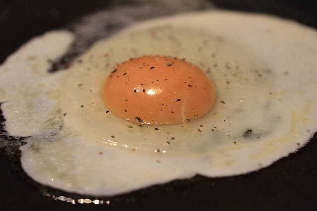 egg, eggs (CTKxPhoto JakubxSyrucek) CTKPhoto555201203120326801