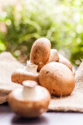 Frische braune champignons im Sonnenlicht auf einem Holztisch bei Tageslicht