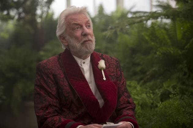 RELEASE DATE: November 20, 2015 TITLE: The Hunger Games: Mockingjay Part 2 STUDIO: Atlanta U.S. - ZUMAl90_