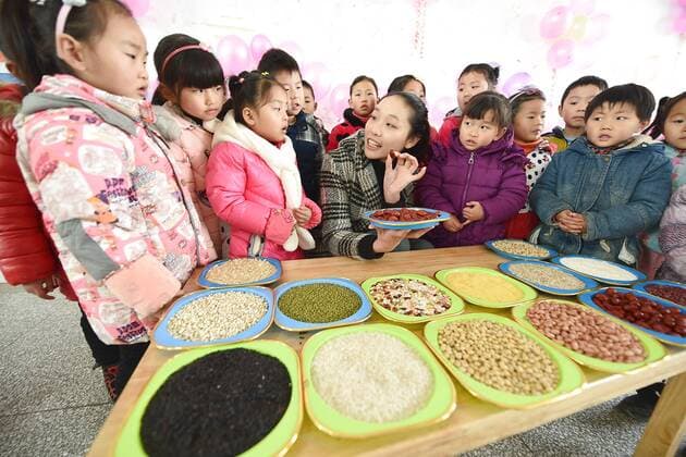 January 4, 2017 - Lianyungang, Lianyungang, China - Lianyungang, CHINA-January 4 2017: (EDITORIAL USE ONLY. CHINA OUT)..Pupils learn to recognize five kinds of cereals under the guidance of teacher at a primary school in Donghai County, Lianyungang City,east China s Jiangsu Province, January 4th, 2017, celebrating the Laba Rice Porridge Festival which falls on January 5th this year. The Laba Rice Porridge Festival is a traditional Chinese festival falls on the 8th day of the 12th month of lunar calendar. It s customary on this day to drink the special porridge, usually stewed of at least eight ingredients. With rice as the main ingredient, this porridge may well contain ingredients like broad beans, red beans, mung beans, red dates, peanuts, chest nuts, both tasty and nutritious. Lianyungang China - ZUMAs145 20170104_zaa_s145_184