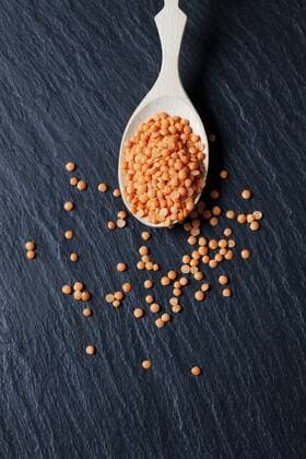 Wooden spoon of red lentils on slate CSF28021