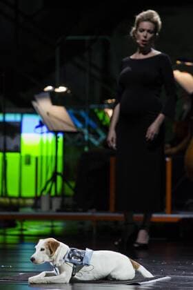 SPERRFRIST EMBARGO, Kein Licht, Ruhrtriennale, Duisburg, Germany SPERRFRIST EMBARGO bis to 8:00pm, 25 August 2017 Duisburg, Germany. 22 August 2017. Pictured: Cheeky the Dog with Olivia Vermeulen. Dress rehearsal of the Ruhrtriennale world premiere Kein Licht, a Thinkspiel by Philippe Manoury and Nicolas Stemann. Adapted from the stage play Kein Licht. by Elfriede Jelinek. Performances run at the Gebläsehalle at Landschaftspark Nord in Duisburg from 25 August to 3 September 2017. Actors: Caroline Peter and Niels Bormann, Opera singers: Christina Daletska, Lionel Peintre, Sarah Sun and Olivia Vermeulen. Only for editorial use in connection with Ruhrtriennale reporting