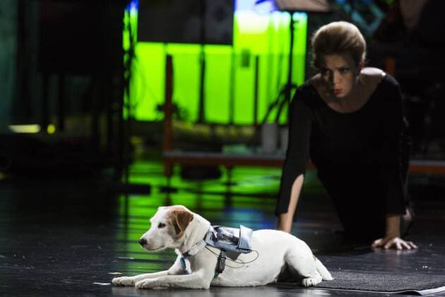 SPERRFRIST EMBARGO, Kein Licht, Ruhrtriennale, Duisburg, Germany SPERRFRIST EMBARGO bis to 8:00pm, 25 August 2017 Duisburg, Germany. 22 August 2017. Pictured: Cheeky the Dog with Olivia Vermeulen. Dress rehearsal of the Ruhrtriennale world premiere Kein Licht, a Thinkspiel by Philippe Manoury and Nicolas Stemann. Adapted from the stage play Kein Licht. by Elfriede Jelinek. Performances run at the Gebläsehalle at Landschaftspark Nord in Duisburg from 25 August to 3 September 2017. Actors: Caroline Peter and Niels Bormann, Opera singers: Christina Daletska, Lionel Peintre, Sarah Sun and Olivia Vermeulen. Only for editorial use in connection with Ruhrtriennale reporting