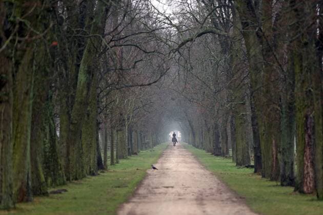 12.01.2018, Neustadt (Dosse), Brandenburg, GER - Reiter bei einem Ausritt auf einer Allee. (Pferd, Jahreszeit, Winter, Frontal, Frontalansicht, Allee, Reiter, Reiten, Ausritt, ausreiten, Erholung, erholen, Ausreiten, Pferdesport, Reitsport, Sport, reiten, entspannen, Entspannung, Natur, Unternehmung, allein, Gangart, Schritt, Weite, Ferne) 180112D008NEUSTADT_DOSSE.JPG