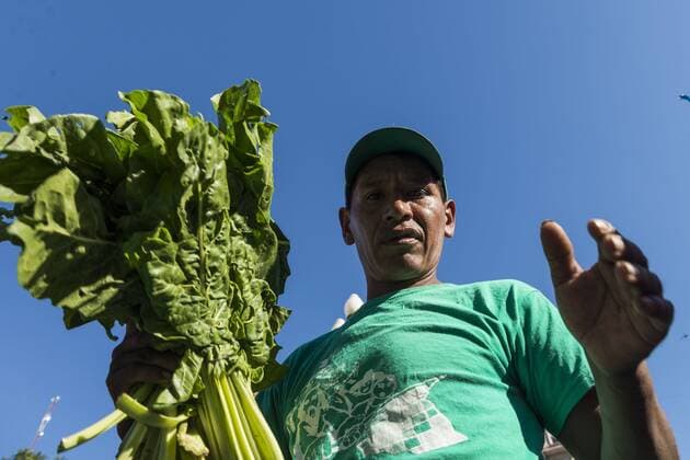 February 27, 2019 - City Of Buenos Aires, City of Buenos Aires, Argentina - INT. 2019, February 27. City of Buenos Aires, Argentina.- Small producers give away on 2019 February 27, 20 thousands kilos of vegetables, called Verdurazo, in Plaza de Mayo, City of Buenos Aires, claiming for improvements to small farmers and against hunger. The last February 15, they were repressed when they tried to sell vegetables at an accessible and fair price in Constitucion neighborhood, in City of Buenos Aires. City Of Buenos Aires Argentina - ZUMAf135 20190227_zap_f135_010 Copyright: xJulietaxFerrariox