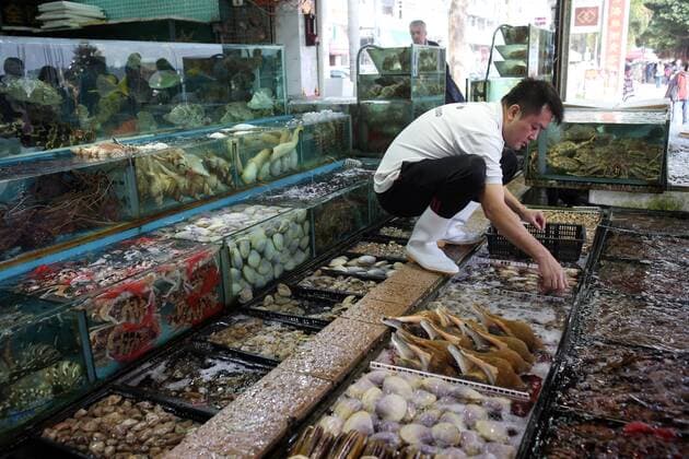 09.12.2017, Hong Kong, Hongkong, CHN - Haendler auf dem Fischmarkt in Lei Yue Mun. (30-40 Jahre, Alltag, Angebot, Aquarien, Asiate, asiatisch, Asien, Auslagen, Bassins, China, Chinese, chinesisch, Einkauf, Einzelhandel, Ernaehrung, Essen, Essen und Trinken, Fang, fangfrisch, Fische, Fischhaendler, Fischmarkt, Fischverkaeufer, Fischwaren, frisch, Garnelen, Gesellschaft, Handel, Hong Kong, Hongkong, innen, Innenaufnahme, Konsum, Konsumwirtschaft, Krebse, Land und Leute, lebend, Lebensmittel, Lei Yue Mun, Mann, Markt, Marktgeschehen, Marktszene, Meeresfruechte, Mensch, Muscheln, Nahrung, Nahrungsmittel, Person, QF, Querformat, Stadt, Stadtleben, Stand, Suedostasien, Tiere, Verkauf, Verkaufsstand, Waren, Warenangebot, Warenpraesentation, Wasserbassins, Wirtschaft, Wochenmarkt) 171209D099HONGKONG.JPG