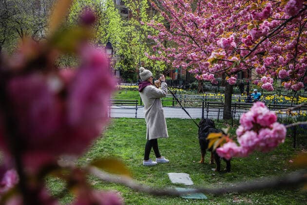 April 14, 2020, New York, NEW YORK, EUA: Movement in Washington Square Park in the spring of New York during the Coronavirus COVID-19 pandemic in the United States. New York USA - ZUMAc233 20200414_zsp_c233_080 Copyright: xVanessaxCarvalhox