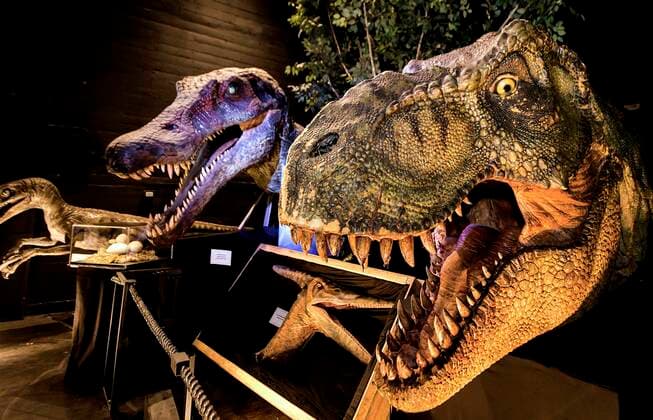 September 22, 2020 - Hollywood, California, USA - Premiering at the Montalban on September 24 will be Icons of Darkness, an exhibit of Sci-Fi, Horror and Fantasy memorabilia amassed over decades of collecting by Richard Rich Correll. Consisting of more than 3,000 items and valued at over $13 million, Correll s holdings, 65% of which are in the exhibition, include screen-used artifacts, life-like replicas and props from films spanning nearly 100 years of Hollywood history. Hundreds of films are represented, including Frankenstein, The Exorcist, Star Wars, Iron Man, Jurassic Park, Spiderman, The Joker, and Harry Potter. The exhibit opens to the public in two days with appropriate social distancing guidelines in effect. Hollywood U. - ZUMAce6_ 20200922_zaf_ce6_011 Copyright: xBrianxCahnx