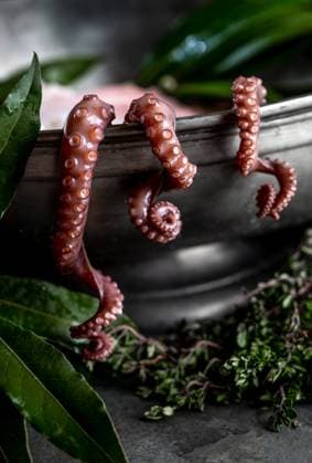 Fresh octopus tentacles with aromatic herbs lying in metal bowl in kitchen Copyright: xLarisaxBlinovax Model Released