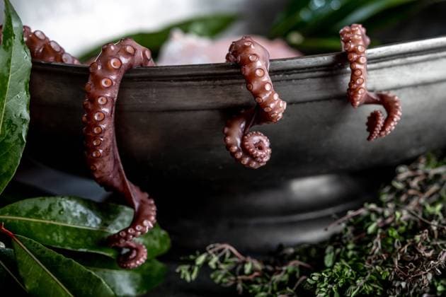 Fresh octopus tentacles with aromatic herbs lying in metal bowl in kitchen Copyright: xLarisaxBlinovax Model Released