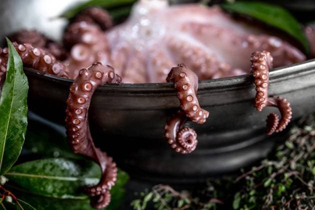 Fresh octopus tentacles with aromatic herbs lying in metal bowl in kitchen Copyright: xLarisaxBlinovax Model Released