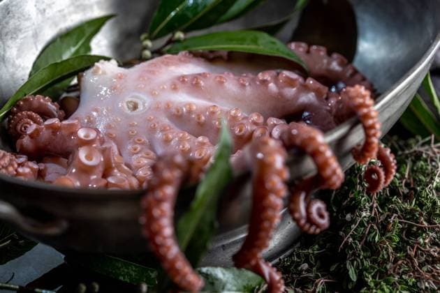 Fresh octopus tentacles with aromatic herbs lying in metal bowl in kitchen Copyright: xLarisaxBlinovax Model Released