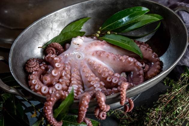 Fresh octopus tentacles with aromatic herbs lying in metal bowl in kitchen Copyright: xLarisaxBlinovax Model Released