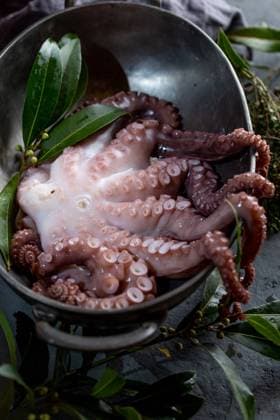 Fresh octopus tentacles with aromatic herbs lying in metal bowl in kitchen Copyright: xLarisaxBlinovax Model Released