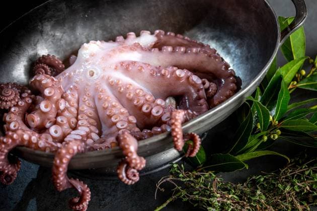 Fresh octopus tentacles with aromatic herbs lying in metal bowl in kitchen Copyright: xLarisaxBlinovax Model Released