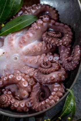 Fresh octopus tentacles with aromatic herbs lying in metal bowl in kitchen Copyright: xLarisaxBlinovax Model Released