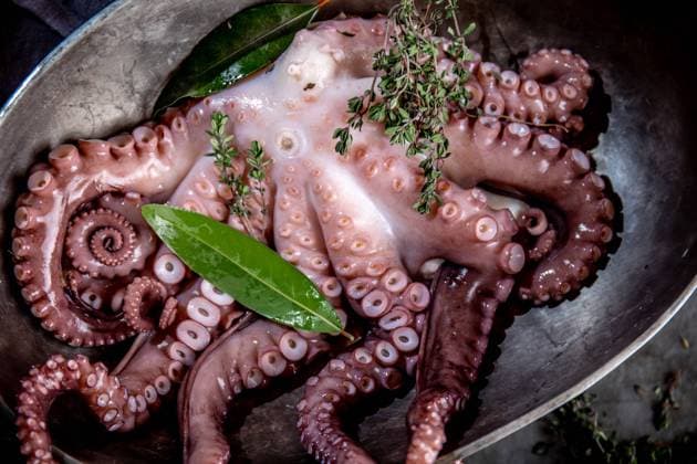 Fresh octopus tentacles with aromatic herbs lying in metal bowl in kitchen Copyright: xLarisaxBlinovax Model Released