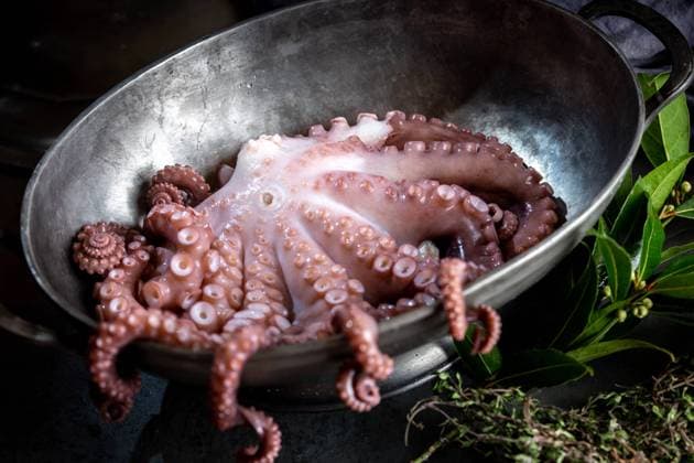 Fresh octopus tentacles with aromatic herbs lying in metal bowl in kitchen Copyright: xLarisaxBlinovax Model Released