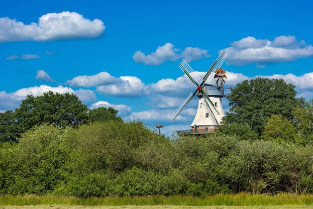 Galleriehollaender-Windmuehle in Barssel an der Soeste, Storchennest im Hintergrund,, Deutschland, Niedersachsen, Oldenburger Muensterland, Barssel smock mill in Barssel at the Soeste, stork nest in the background, Germany, Lower Saxony, Oldenburger Muensterland, Barssel BLWS638219