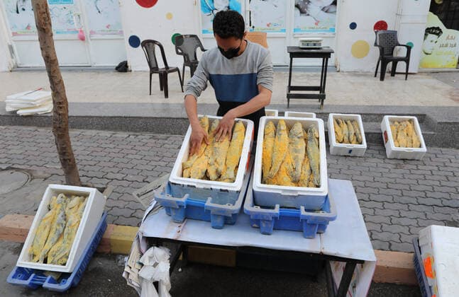 May 8, 2021, Gaza city, Gaza Strip, Palestinian Territory: Palestinian men wearing masks, prepare salted fish to be sold in markets ahead Eid al Fitr holiday in Gaza City, on May 8, 2021. Salted fish, such as kippered herring or dried and salted cod, is fish cured with dry salt and thus preserved for later eating. Drying or salting, either with dry salt or with brine, was the only widely available method of preserving fish until the 19th century Gaza city Palestinian Territory - ZUMAap3_ 20210508_zaf_ap3_083 Copyright: xMahmoudxAjjourx