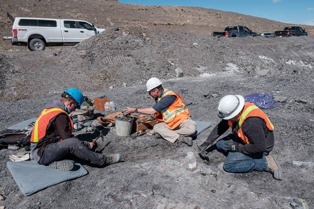 May 11, 2022, Lethbridge, AB, Canada: Technicians from the Royal Tyrell Museum of Palaeontology, Darren Tanke, (left to right) Mark Mitchell and Dawson Lambert work on preserving a mosasaur fossil, Wednesday, May 11, 2022, at the KORITE mine south of Lethbridge, Alta. Lethbridge Canada - ZUMAc35_ 20220511_zaf_c35_100 Copyright: xDavidxRossiterx