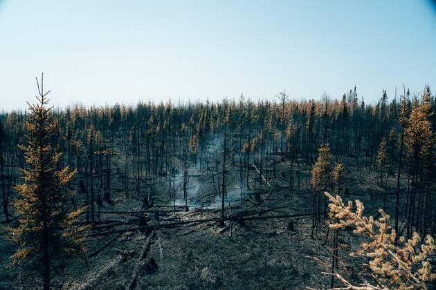Wildfires Burning - Quebec Handout picture, dated on June 2, 2023 in Chapais, Quebec, Canada. Members of SOPFEU, Socià tà de Protection Des Forets Contre Le Feu, (Forest Fire Protection Company) fight forest fires burning in Quebec, Canada. With more than nine million hectares of land burnt, more than 20,000 residents evacuated and at least 400 fires still active, half of which are thought to be out of control, a series of staggering figures revealed on Wednesday by Canada s Minister of Emergency Preparedness, Bill Blair, show that the country is facing an unprecedented battle against raging forest fires. Ten new forest fires broke out in Canada on Friday, bringing the total number of forest fires in the country so far this year to 2,405, Copyright: xABACAx 856477_016 ABACAx 856477_016