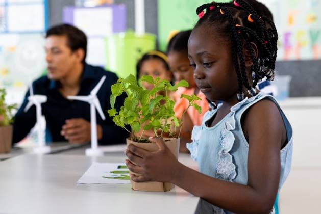 Happy african american girl with plant in ecology class at elementary school Happy african american girl with plant in ecology class at elementary school. School, learning, childhood, ecology, recycling and education, unaltered., model released, , property released, Cape Town, South Africa, 01.04.2023, 4070204.jpg, people,happy,african american,american girl,plant,ecology,class,elementary school,learning,childhood,recycling,education,unaltered,school,kid,student,study,classroom,little,knowledge,studying,young,lesson,college,fun,cute,university,learn,recycle,teacher,smile,cheerful,happiness,african,american,girl,elementary Child,Girl,Female,Multiracial,Black,Mid Adult,Man,Male