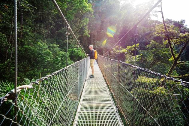 Hike in Costa Rica Hiking in green tropical jungle, Costa Rica, Central America ,model released, Symbolfoto Copyright: xZoonar.com GalynaxAndrushkox 11715001 ,model released, Symbolfoto ,property released