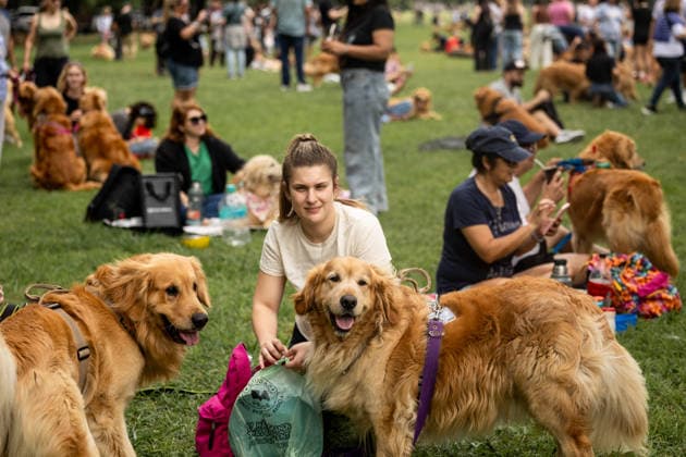 Golden Retrievers and owners gather for a world record in Buenos Aires BUENOS AIRES, ARGENTINA - DECEMBER 8: Hundreds of owners and their Golden Retrievers gather in an attempt to break the world record for the largest meeting of Goldens, in the Bosques de Palermo, in Buenos Aires, Argentina, on December 8, 2025. The event, organized by influencer Fausto Duperre, brought together more than 1,800 dogs along with their families, breeders, and fans of the breed. To date, the world record was held by Vancouver, Canada, with 1,685 dogs. Cristina Sille Anadolu Buenos Aires Argentina. Editorial use only. Please get in touch for any other usage. Copyright: x2025xAnadoluxCristinaxSillex