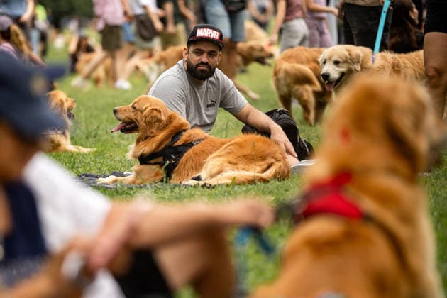 Golden Retrievers and owners gather for a world record in Buenos Aires BUENOS AIRES, ARGENTINA - DECEMBER 8: Hundreds of owners and their Golden Retrievers gather in an attempt to break the world record for the largest meeting of Goldens, in the Bosques de Palermo, in Buenos Aires, Argentina, on December 8, 2025. The event, organized by influencer Fausto Duperre, brought together more than 1,800 dogs along with their families, breeders, and fans of the breed. To date, the world record was held by Vancouver, Canada, with 1,685 dogs. Cristina Sille Anadolu Buenos Aires Argentina. Editorial use only. Please get in touch for any other usage. Copyright: x2025xAnadoluxCristinaxSillex