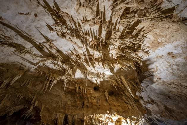Stalagtiten und Felsformationen in einer Tropfsteinhöhle, Grotta del Fico, Golf von Orosei, Baunei, Sardinien, Italien Stalactites and rock formations in a stalactite cave, Grotta del Fico, Gulf of Orosei, Baunei, Sardinia, Italy Copyright: imageBROKER Marax&xMoritzxWolf ibxmzf15829012.jpg