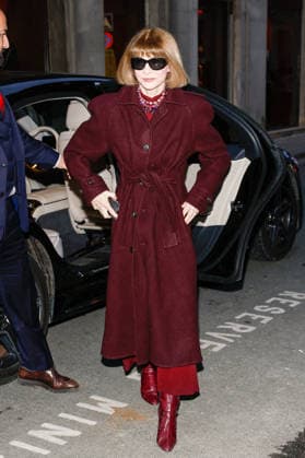 Anna Wintour Victoria Beckham, accompanied by her family, arrives at the Ministry of Culture to be elevated to the rank of Knight of the Order of Arts and Letters in Paris, France, on January 26, 2026 Cyril Moreau Bestimage Victoria Beckham, accompanied by her family, arrives at the Ministry of Culture to be elevated to the rank of Knight of the Order of Arts and Letters in Paris, France, on January 26, 2026 Paris France Copyright: xCYRILxMOREAUx xBESTIMAGExCYRILxMOREAUx xBESTIMAGEx