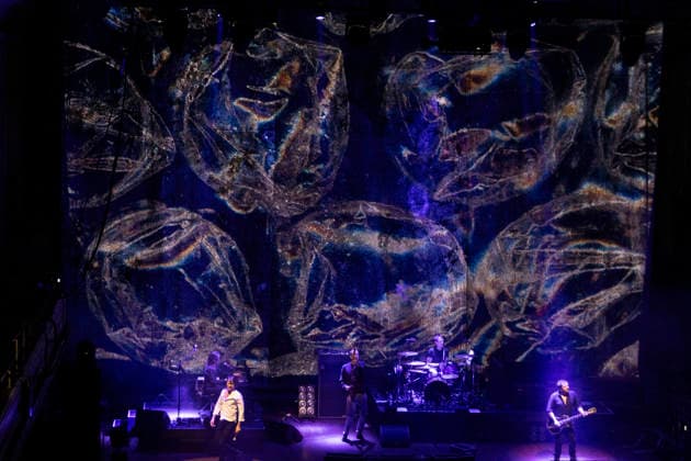 Suede , performs live, at, o2 Cith Hall, Newcastle, Uk, on 14 February 2026 Suede , performs live, at, o2 Cith Hall, Newcastle, Uk, on 14 February 2026, Credit:David Wala Avalon England, Tyne and Wear, Newcastle upon Tyne Copyright: xDavidxWalax xAvalonx 1075151396