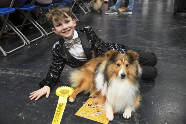 Jasper Chorlton (aged 9) with his dog Danny, pictured celebrating his 3rd in Yearling Dog, Shetland Sheepdog, Crufts 2026, 5th March, 2026, National Exhibition Centre, Birmingham, England Jasper Chorlton (aged 9) with his dog Danny, pictured celebrating his 3rd in Yearling Dog, Shetland Sheepdog, Crufts 2026, 5th March, 2026, National Exhibition Centre, Birmingham, England Featuring: Jasper Chorlton (aged 9) with his dog Danny, pictured celebrating his 3rd in Yearling Dog, Shetland Sheepdog. Where: Birmingham, United Kingdom When: 05 Mar 2026 Credit: Anthony Stanley WENN **Permission to use image by the parent E email address is ali_havok@hotmail.co.uk** Birmingham United Kingdom Copyright: xWENNx wenn41012957 ASC ZDSx wenn41012957