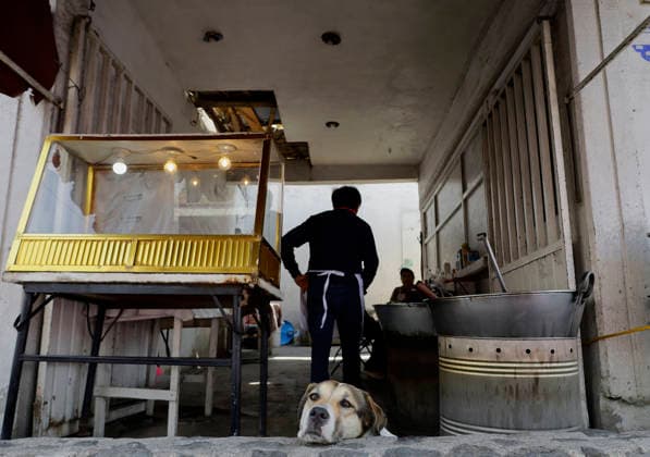 March 8, 2026, ChimalhuacaN, State Of Mexico, Mexico: A dog in a butcher shop watches mothers and relatives of victims of disappearance and femicide march toward the municipal seat of Chimalhuacan in the State of Mexico to demand justice and punishment for the perpetrators, on the occasion of International Women s Day in Mexico. According to the United Nations, International Women s Day is commemorated in many countries around the world. When women from all continents, often separated by national borders and ethnic, linguistic, cultural, economic and political differences, come together on this day, they can contemplate a tradition of no less than ninety years of struggle for equality, justice, peace and development. ChimalhuacaN Mexico - ZUMAs197 20260308_aaa_s197_604 Copyright: xGerardoxVieyrax