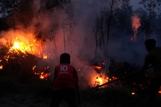 Wildfires rage Indonesia s Palembang PALEMBANG, INDONESIA - SEPTEMBER 28 : Local residents try to extinguish wildfires near they house at Sematang Borang district in Palembang, South Sumatera, Indonesia on September 28, 2026. For weeks, Indonesia has been battling fires that have burned vast swathes of forest and peat ecosystems, causing toxic haze to blanket parts of the country, Malaysia and Singapore. Some 175,000 people in Indonesia have suffered from respiratory illness since August, its health ministry said, as it continues to battle wildfires that have raged for weeks. Muhammad Fajri Anadolu Palembang Indonesia. Editorial use only. Please get in touch for any other usage. Copyright: x2026xAnadoluxMuhammadxFajrix