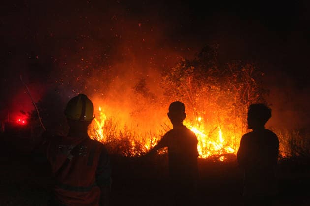 Wildfires rage Indonesia s Palembang PALEMBANG, INDONESIA - SEPTEMBER 28 : Local residents try to extinguish wildfires near they house at Sematang Borang district in Palembang, South Sumatera, Indonesia on September 28, 2026. For weeks, Indonesia has been battling fires that have burned vast swathes of forest and peat ecosystems, causing toxic haze to blanket parts of the country, Malaysia and Singapore. Some 175,000 people in Indonesia have suffered from respiratory illness since August, its health ministry said, as it continues to battle wildfires that have raged for weeks. Muhammad Fajri Anadolu Palembang Indonesia. Editorial use only. Please get in touch for any other usage. Copyright: x2026xAnadoluxMuhammadxFajrix