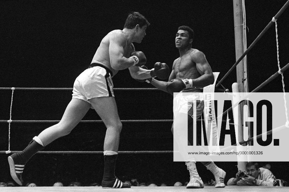 Karl Mildenberger (li., Deutschland) gegen Muhammad Ali (USA) Boxen WM Herren Weltmeisterschaft 1966, Boxsport, Profiboxen, Schwergewicht, Vneg, Vsw Gruppe Frankfurt M. Dynamik,