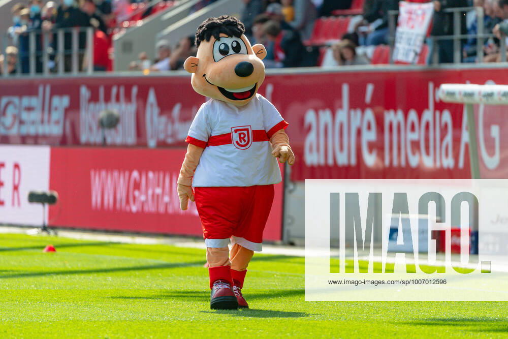 Jahni, das Maskottchen des SSV Jahn Regensburg vor Spielbeginn. SSV Jahn Regensburg gegen Karlsruher SC Fussball, 2. Bundesliga, 9. Spieltag, Saison 2021 2022, 02.10.2021. . SSV Jahn Regensburg gegen Karlsruher SC, Fussball, 2. Bundesliga, 9. Spieltag, Saison 2021 2022, 02.10.2021 Regensburg