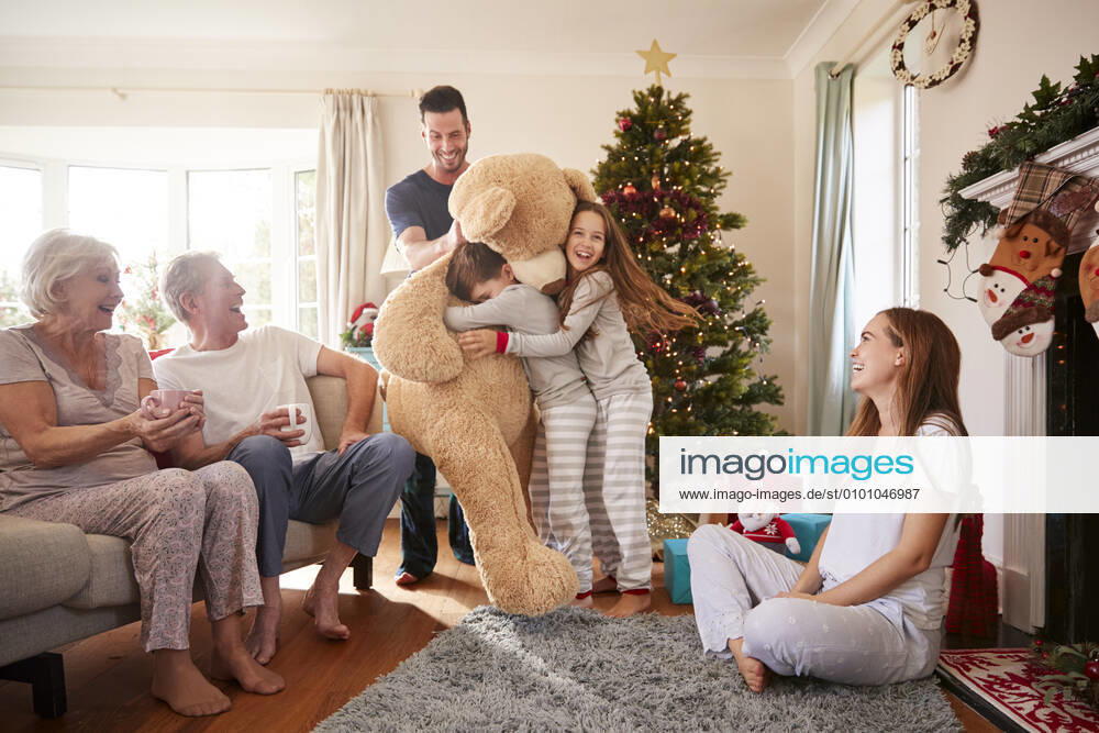 Freude,teddybär,weihnachtsgeschenk