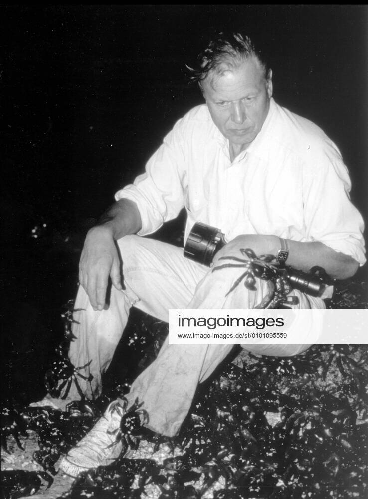 IMAGO ICONS: Sir David Attenborough THE TRIALS OF LIFE THE TRIALS OF LIFE DAVID ATTENBOROUGH Date: 1990. Strictly editorial use only in conjunction with the promotion of the film. Credit line mandatory. This image is copyright of the film company and is supplied under the terms of issue as film still. No commercial or book cover use permitted without prior consent from the film company. Mandatory credit line: Image courtesy PLEASE CREDIT BBC TV Ronald Grant Archive Mary Evans