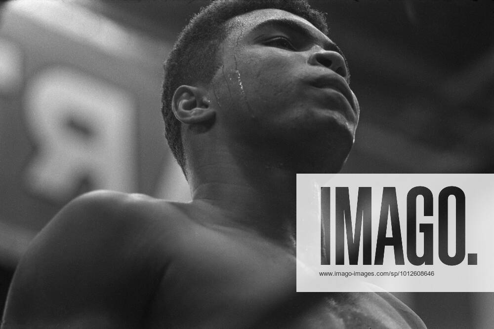 Muhammad ALI alias Cassius CLAY(USA, li.), Boxen, Schwergewicht, im Kampf gegen Karl MILDENBERGER, Deutschland, Portraet, Porträt, Portrait, Angeschnittenes Einzelbild, Einzelmotiv, mit Schweisstropfen, Aktion; Schwarzweissaufnahme, Qf.