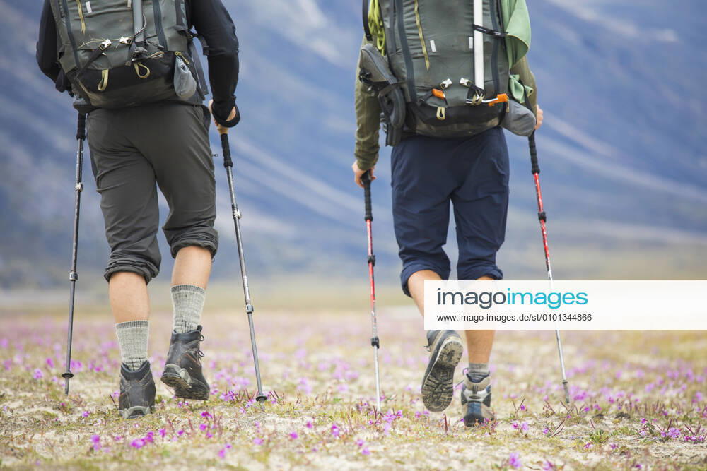 Rear view of two backpackers hiking through wildflower meadow. Pangnirtung, NU, Canada CR_JDIP200331-320820-01,model released, Symbolfoto