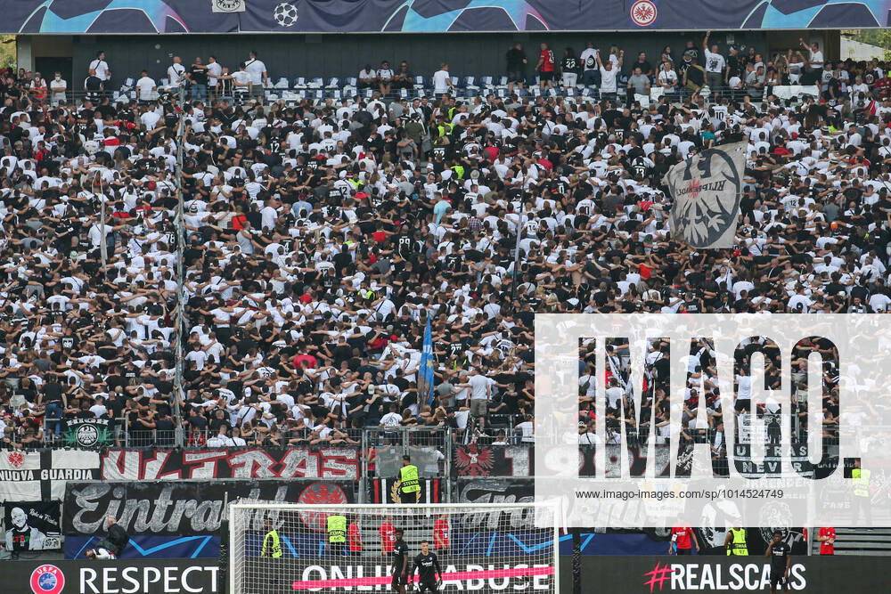 - UEFA Champions League: Eintracht Frankfurt - Sporting Lissabon am 07.09.2022 im Deutsche Bank Park in Frankfurt Die Fans von Eintracht Frankfurt supporten in der Nordwestkurve Ihre Mannschaft