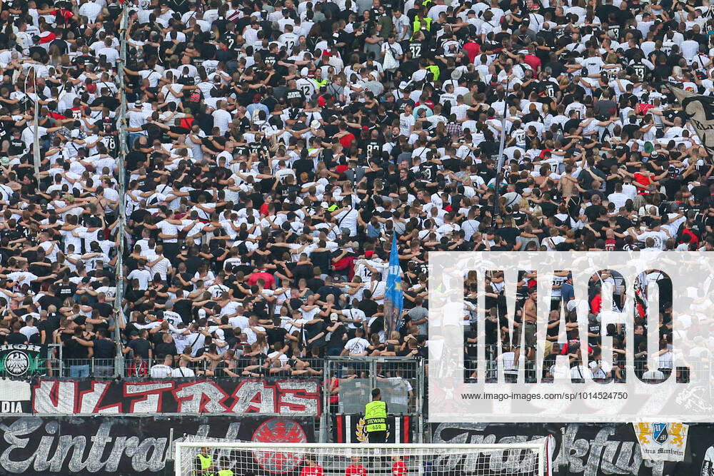 - UEFA Champions League: Eintracht Frankfurt - Sporting Lissabon am 07.09.2022 im Deutsche Bank Park in Frankfurt Die Fans von Eintracht Frankfurt supporten in der Nordwestkurve Ihre Mannschaft
