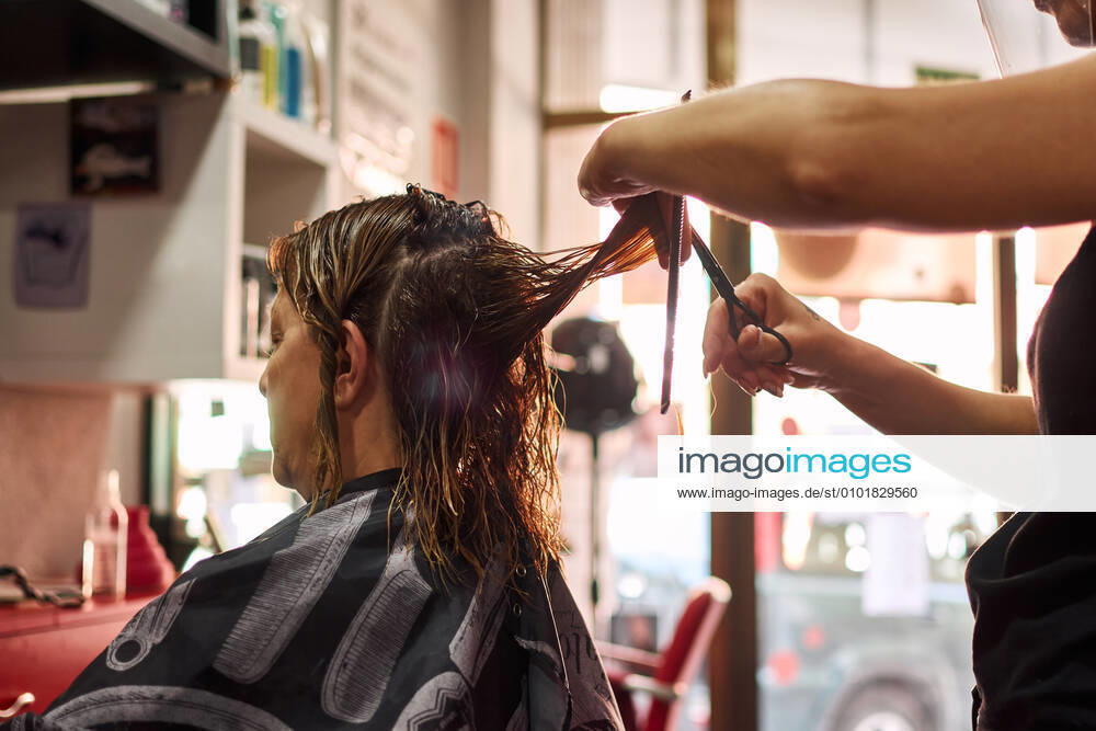 A close-up of a hairdresser cutting client s hair. Small business Villena, Valencian Community, Spain CR_CRBL200605-417611-01 ,model released, Symbolfoto