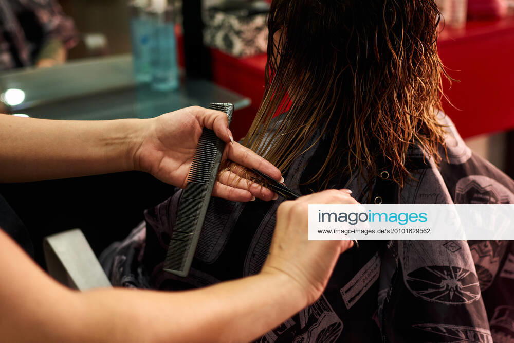 A close-up of a hairdresser cutting client s hair. Small business Villena, Valencian Community, Spain CR_CRBL200605-417613-01 ,model released, Symbolfoto