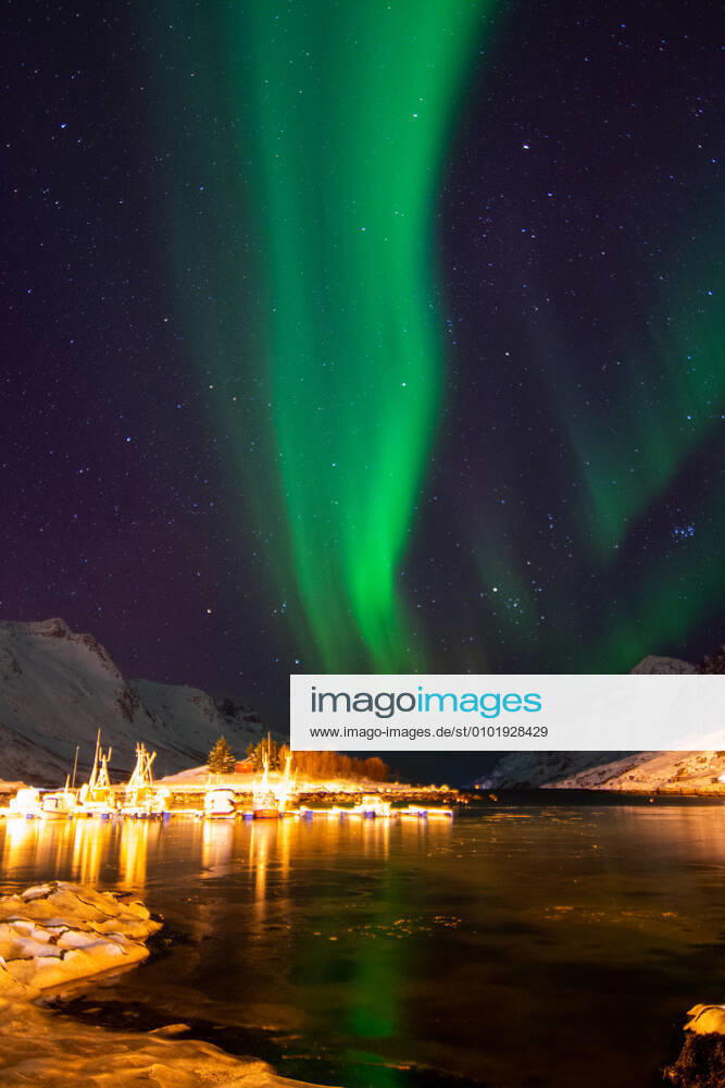 Polarlicht ueber den Hafen von Ersfjordbotn, Norwegen, Tromso polar lights over the port of Ersfjordbotn, Norway, Tromso BLWS621601