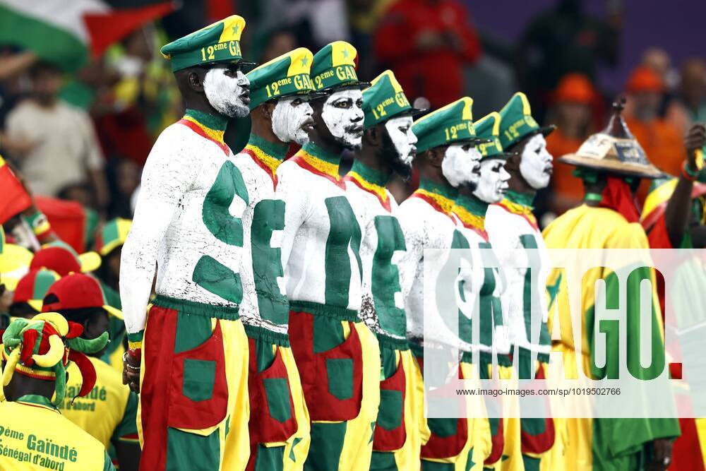 DOHA - Supporters of Senegal during the FIFA World Cup, WM, Weltmeisterschaft, Fussball Qatar 2022 group A match between Senegal and Netherlands at Al Thumama Stadium on November 21, 2022 in Doha, Qatar. ANP MAURICE VAN STONE FIFA World Cup Qatar 2022 2022 ANPxSportx IVx